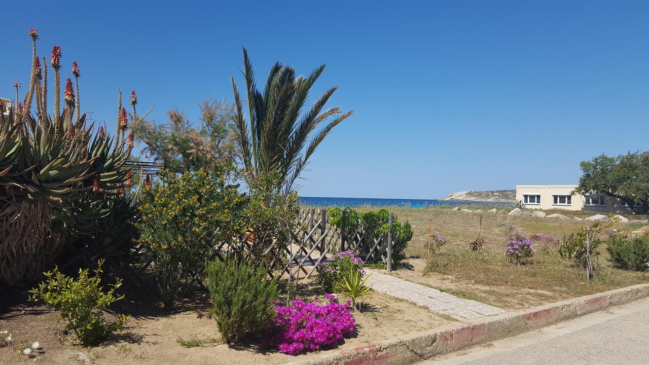 L'Escale Plage Algajola (Corsica) Exterior foto