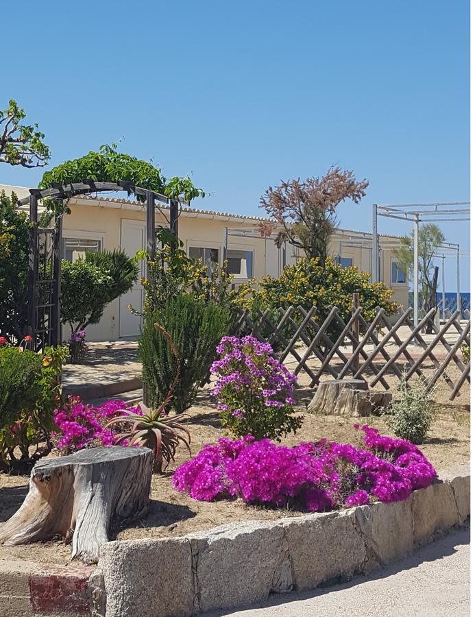 L'Escale Plage Algajola (Corsica) Exterior foto